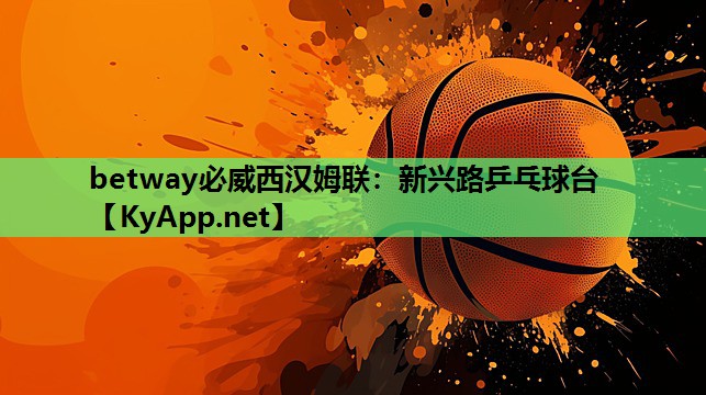 betway必威西汉姆联：新兴路乒乓球台