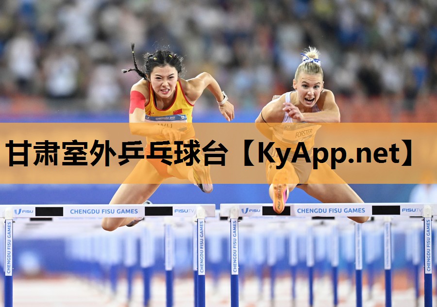 甘肃室外乒乓球台