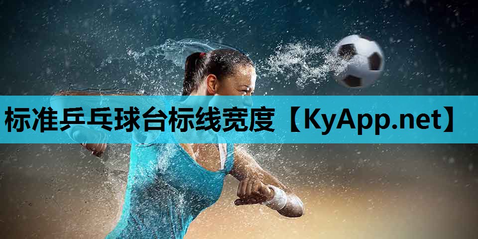 标准乒乓球台标线宽度