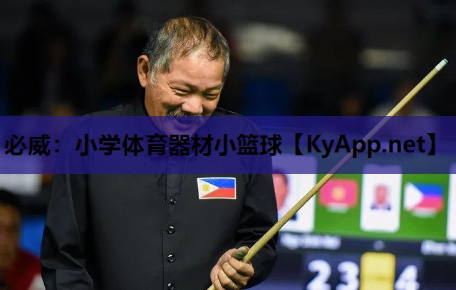 必威:小学体育器材小篮球