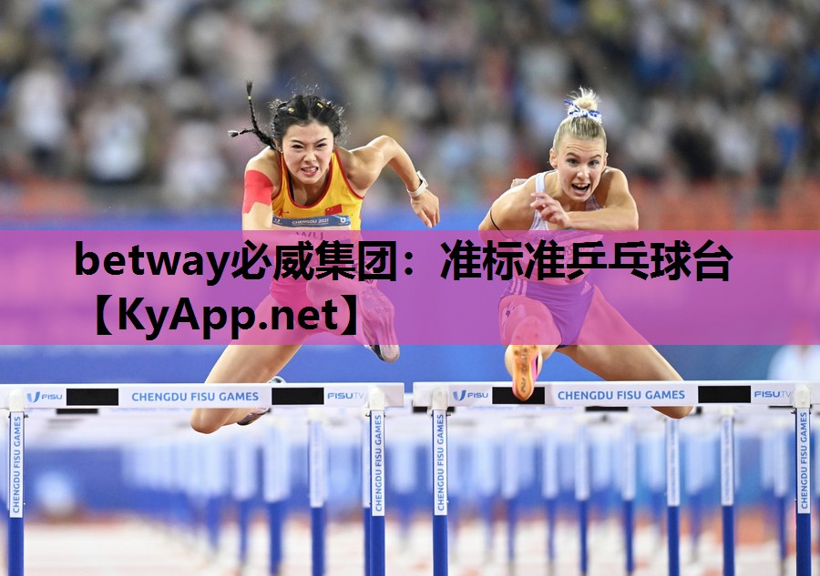 betway必威集团：准标准乒乓球台