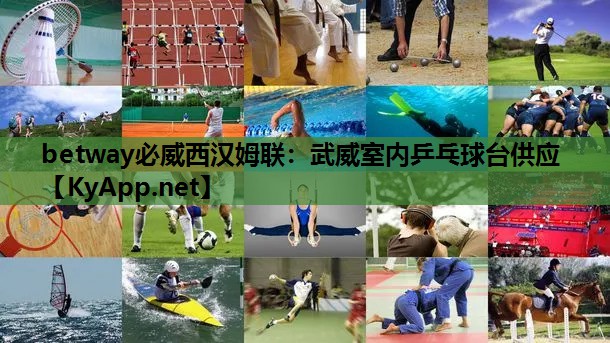 betway必威西汉姆联:武威室内乒乓球台供应