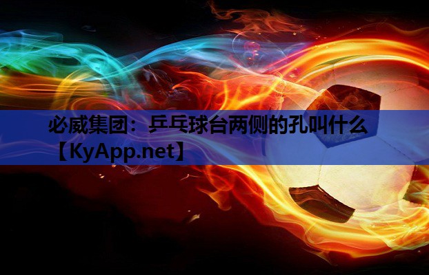 必威集团:乒乓球台两侧的孔叫什么
