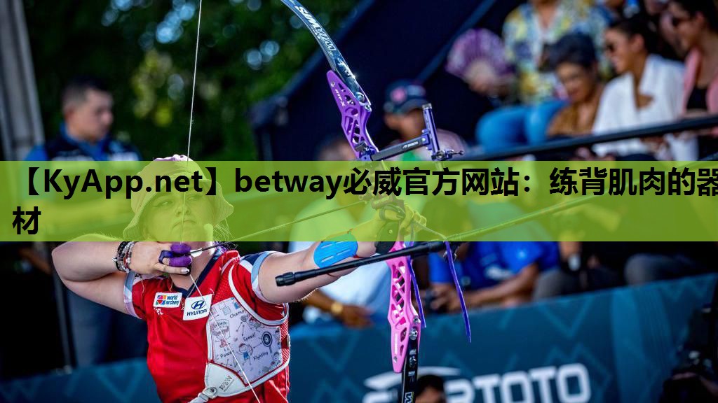 betway必威官方网站:练背肌肉的器材