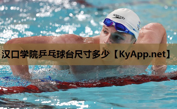 汉口学院乒乓球台尺寸多少