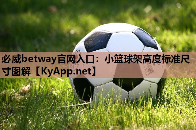 必威betway官网入口:小篮球架高度标准尺寸图解