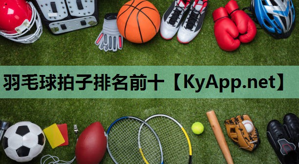 羽毛球拍子排名前十
