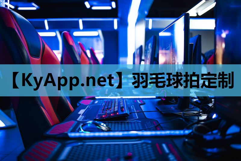 羽毛球拍定制