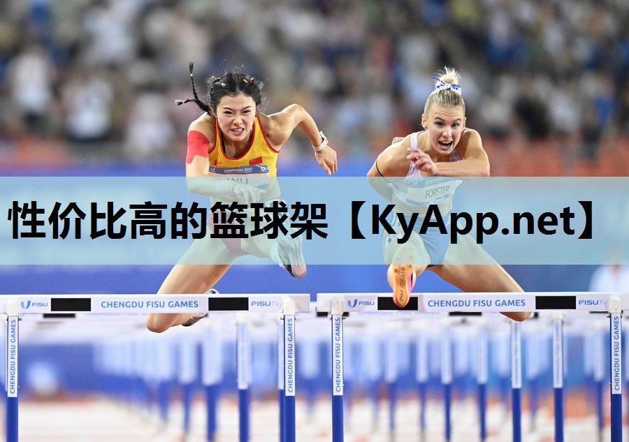性价比高的篮球架