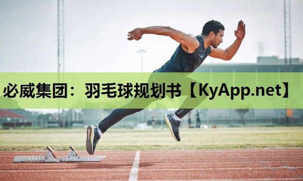 必威集团：羽毛球规划书