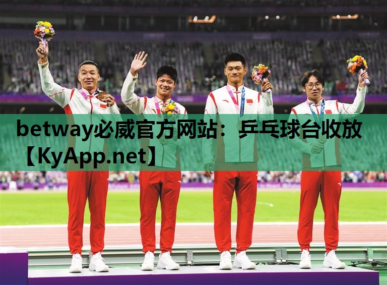乒乓球台收放