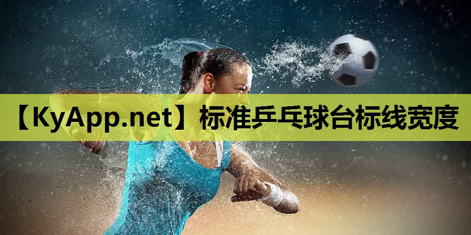 标准乒乓球台标线宽度
