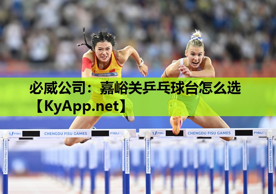 嘉峪关乒乓球台怎么选
