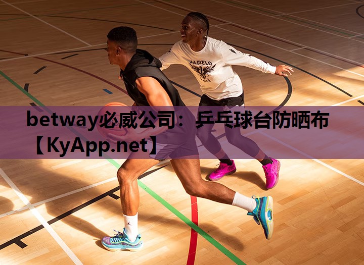 乒乓球台防晒布