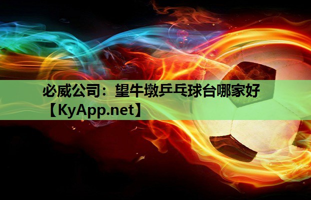 望牛墩乒乓球台哪家好