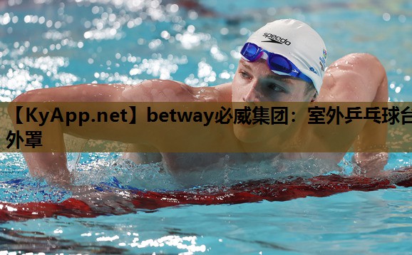 室外乒乓球台外罩