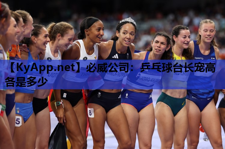 乒乓球台长宠高各是多少