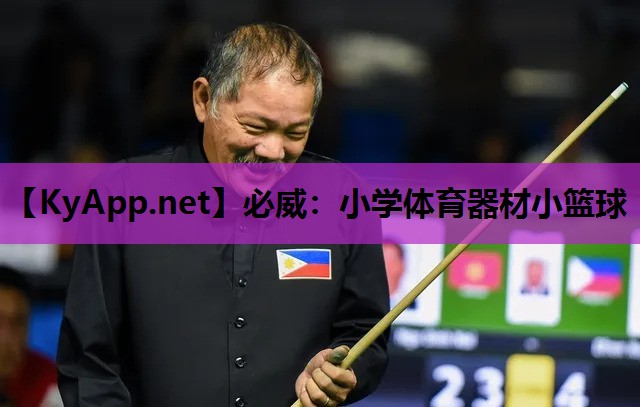 小学体育器材小篮球