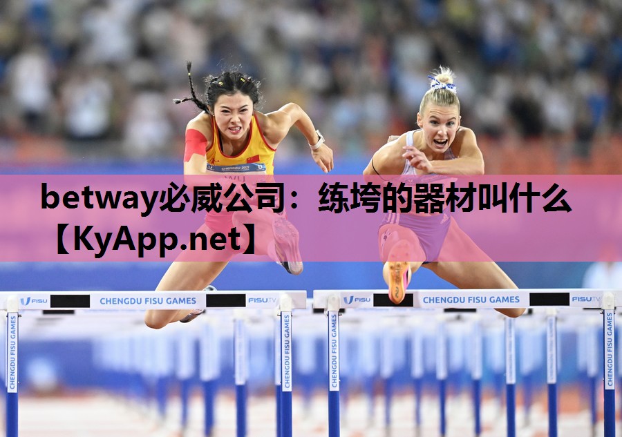 练垮的器材叫什么