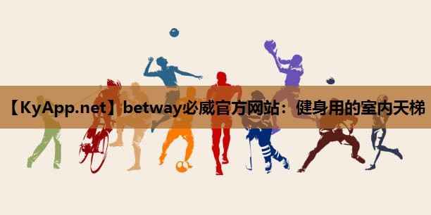 健身用的室内天梯