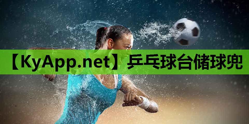 乒乓球台储球兜