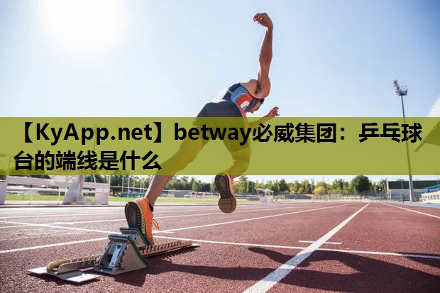 乒乓球台的端线是什么