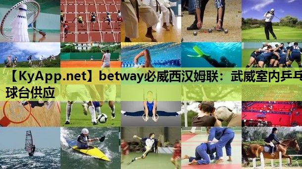 武威室内乒乓球台供应