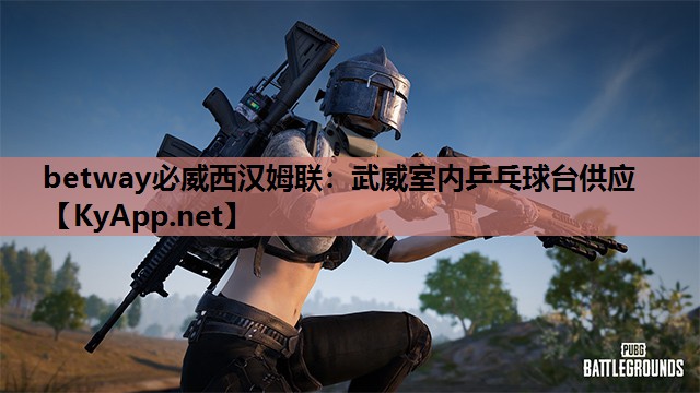 武威室内乒乓球台供应