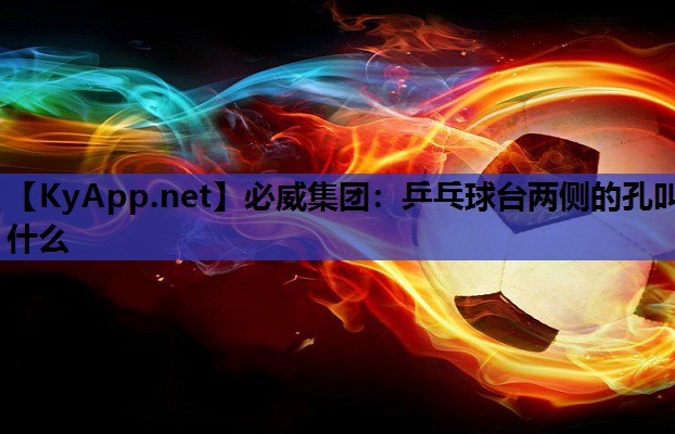 乒乓球台两侧的孔叫什么