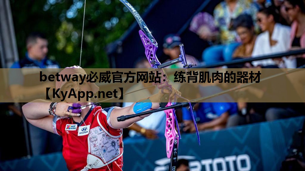 练背肌肉的器材