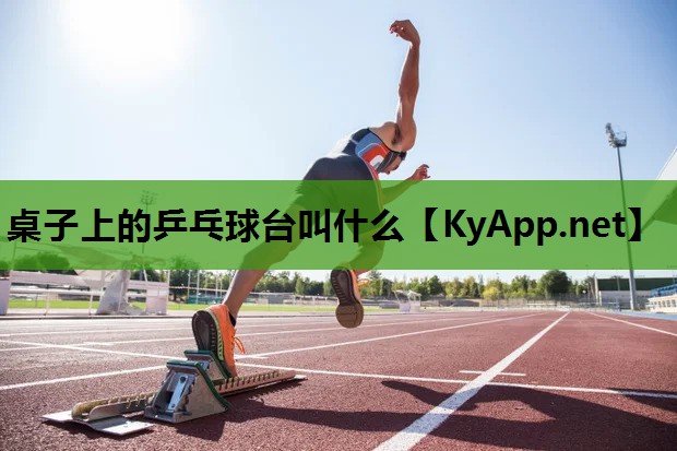 桌子上的乒乓球台叫什么