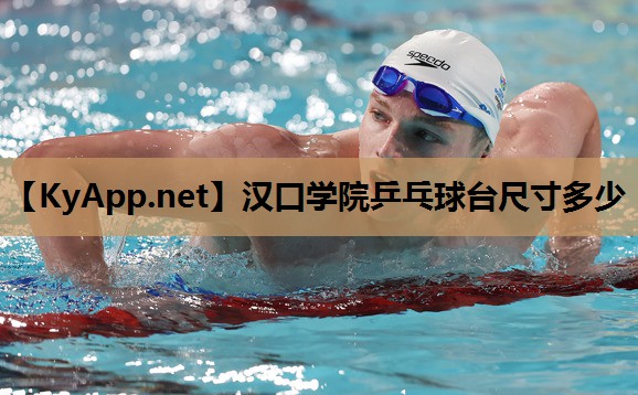 汉口学院乒乓球台尺寸多少
