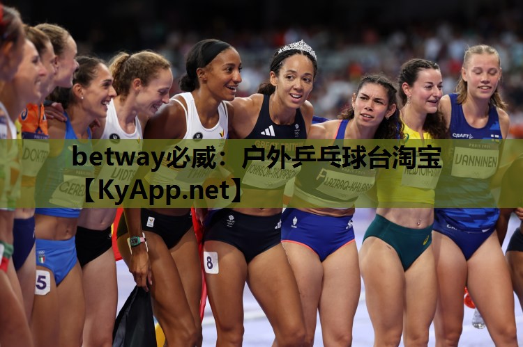户外乒乓球台淘宝