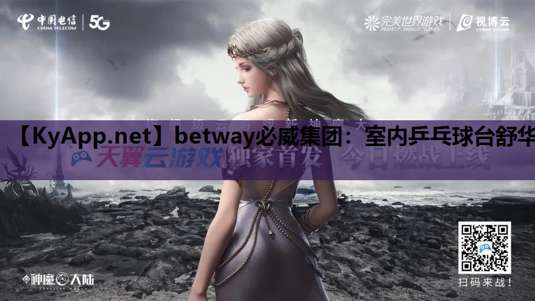 室内乒乓球台舒华