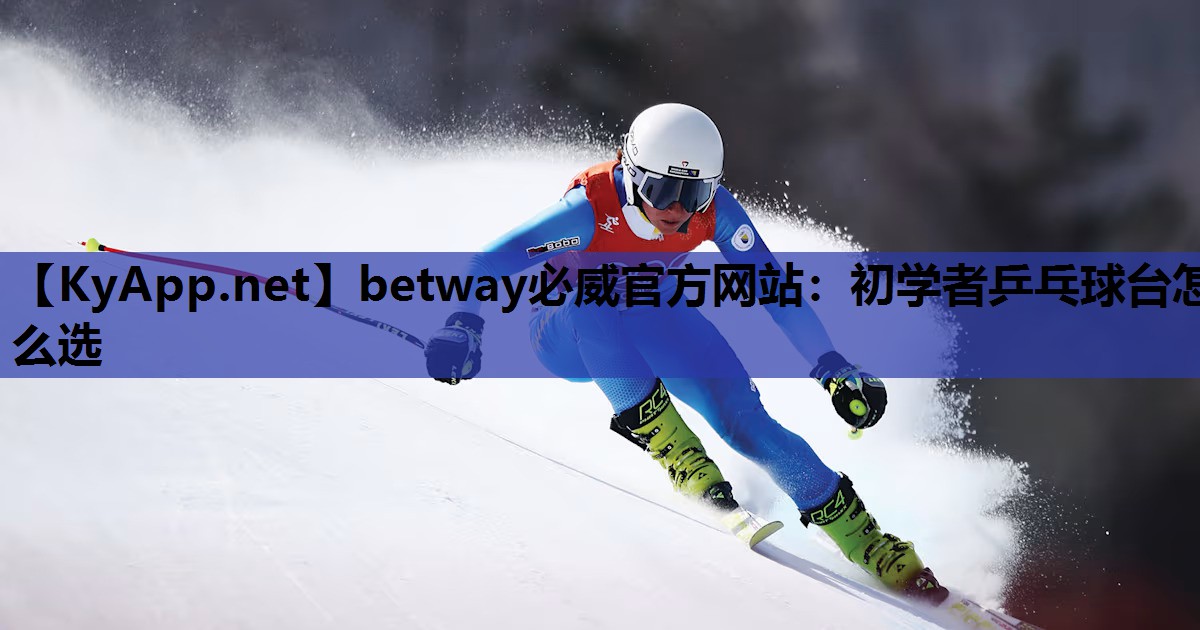 初学者乒乓球台怎么选