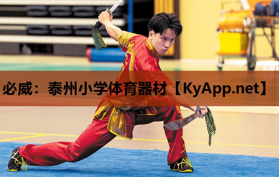 泰州小学体育器材