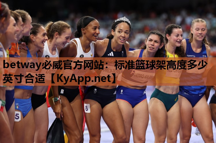 标准篮球架高度多少英寸合适