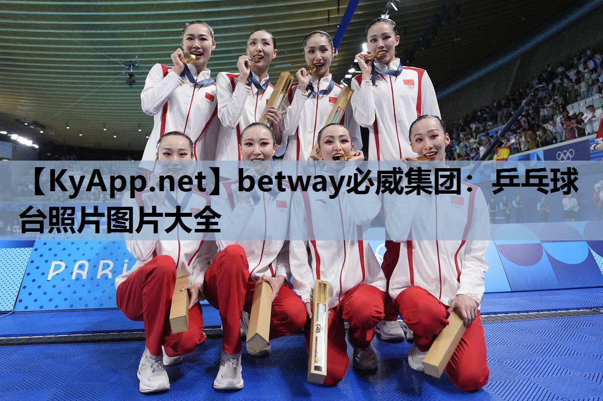 乒乓球台照片图片大全