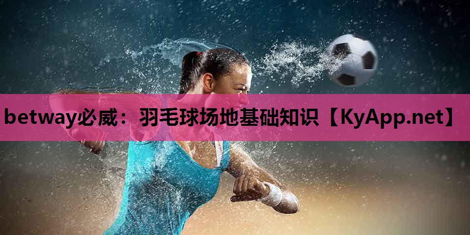 羽毛球场地基础知识