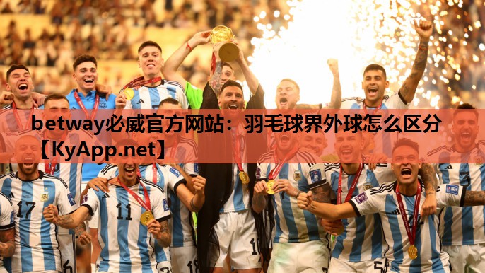 羽毛球界外球怎么区分