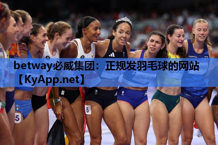 正规发羽毛球的网站
