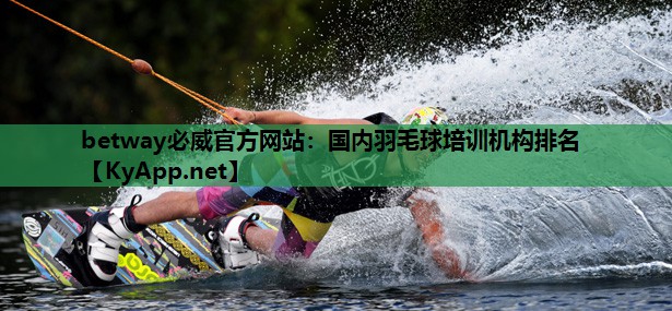 国内羽毛球培训机构排名