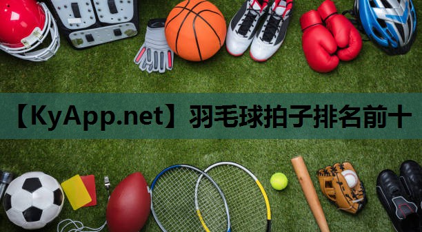 羽毛球拍子排名前十