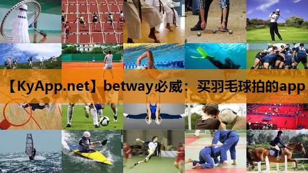 买羽毛球拍的app
