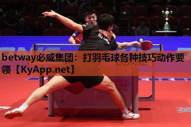 打羽毛球各种技巧动作要领