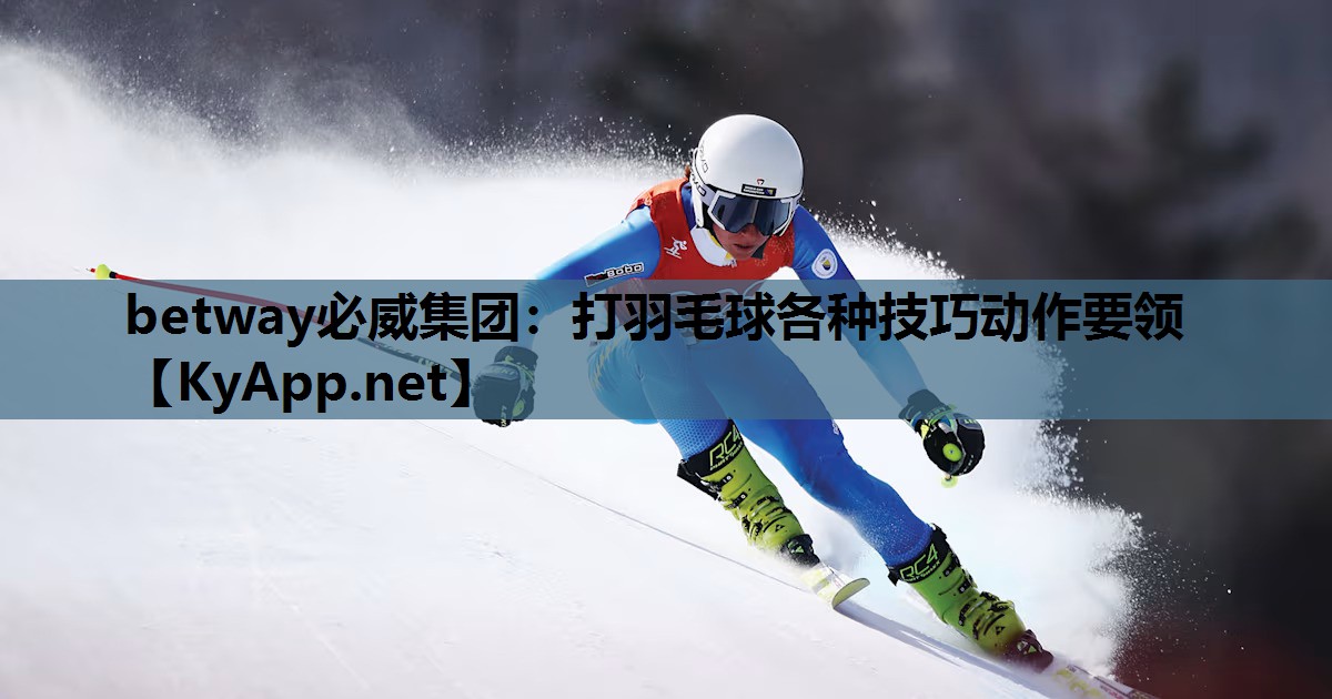 打羽毛球各种技巧动作要领