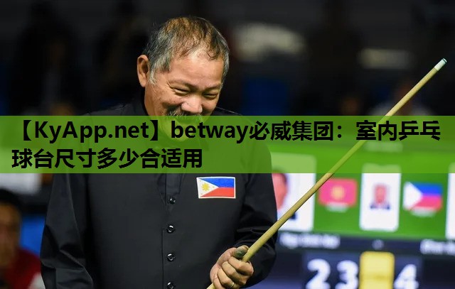 室内乒乓球台尺寸多少合适用