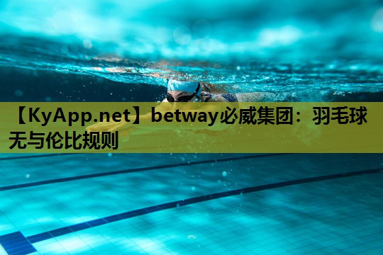 羽毛球无与伦比规则