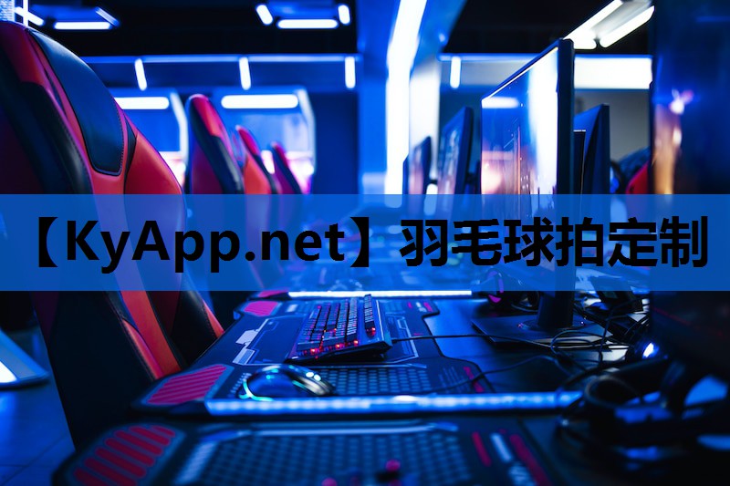 羽毛球拍定制