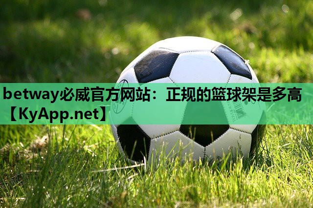 正规的篮球架是多高